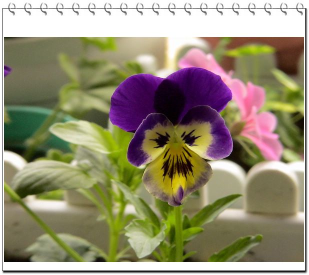 06��һЩ����--�۲�˹��