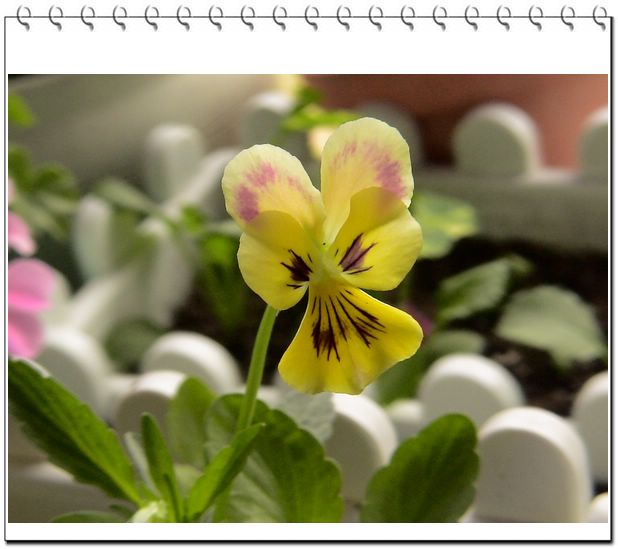 06��һЩ����--�۲�˹��