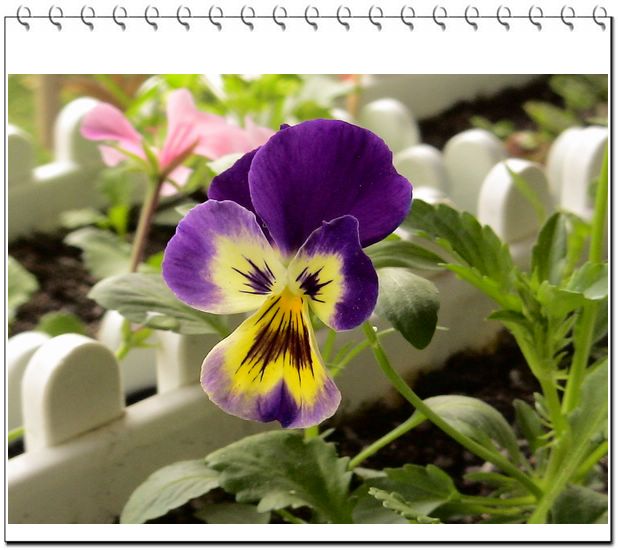 06��һЩ����--�۲�˹��