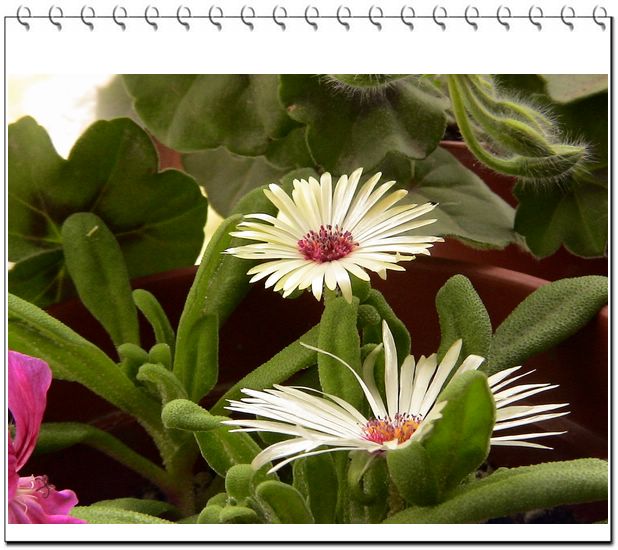 06��һЩ����--�۲�˹��