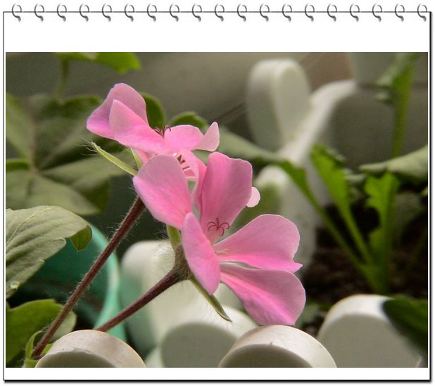 06��һЩ����--�۲�˹��