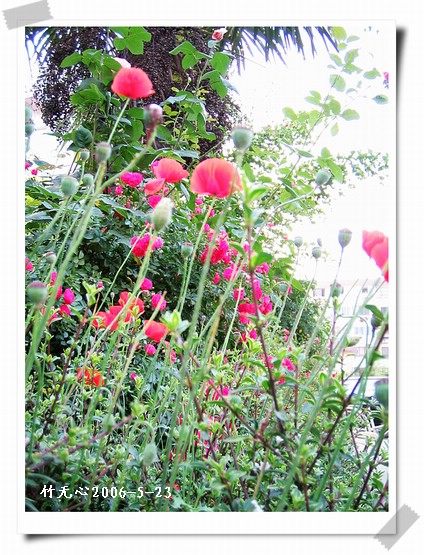 ��һ��������