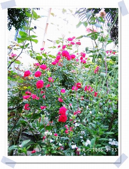 ��һ��������