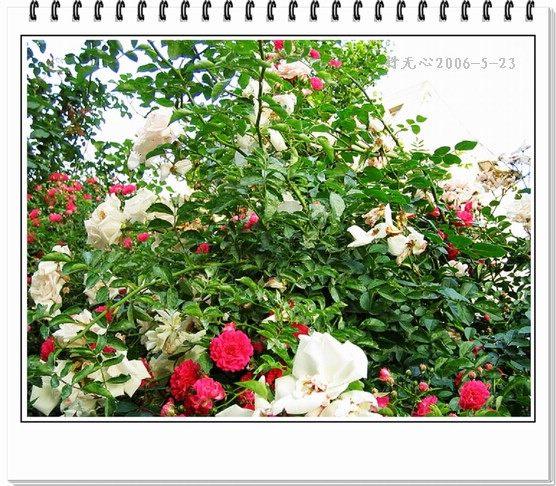 ��һ��������