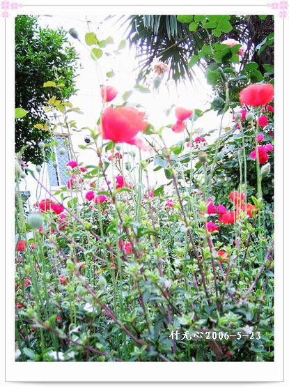 ��һ��������