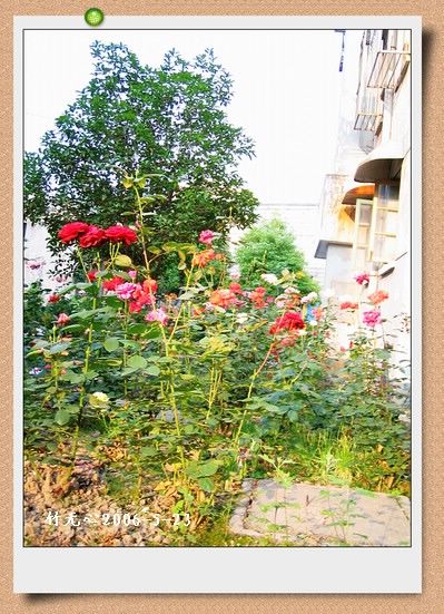 ��һ��������