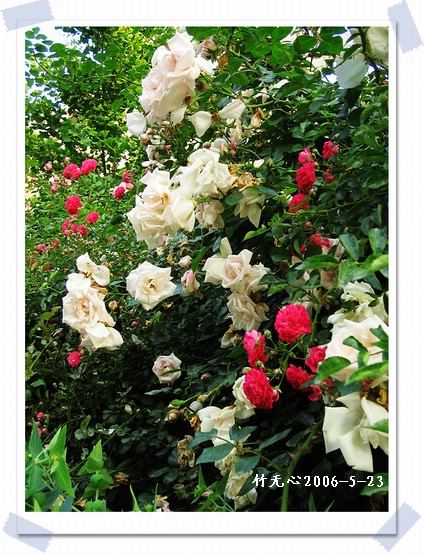 ��һ��������