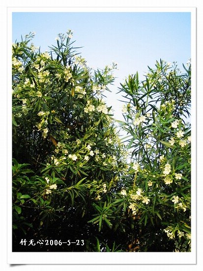 ��һ��������