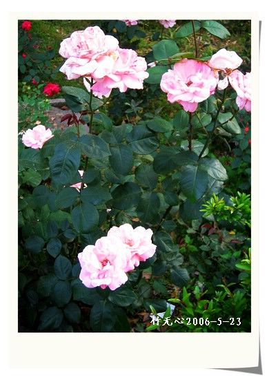 ��һ��������