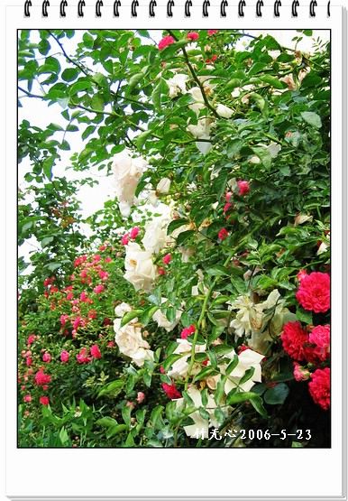 ��һ��������