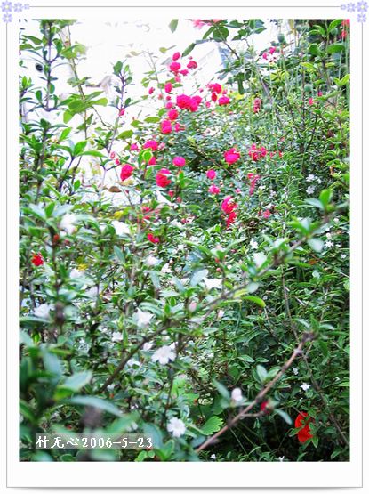 ��һ��������