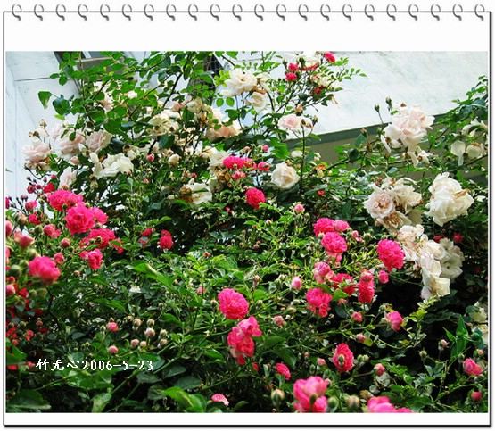 ��һ��������