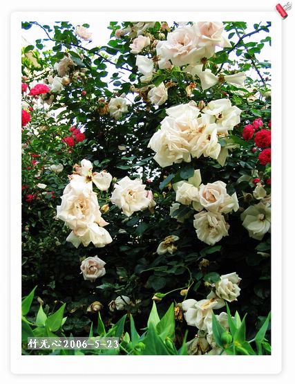 ��һ��������