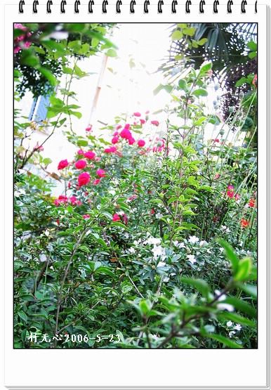 ��һ��������