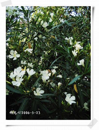 ��һ��������