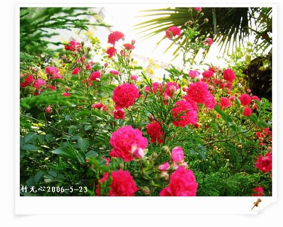 ��һ��������