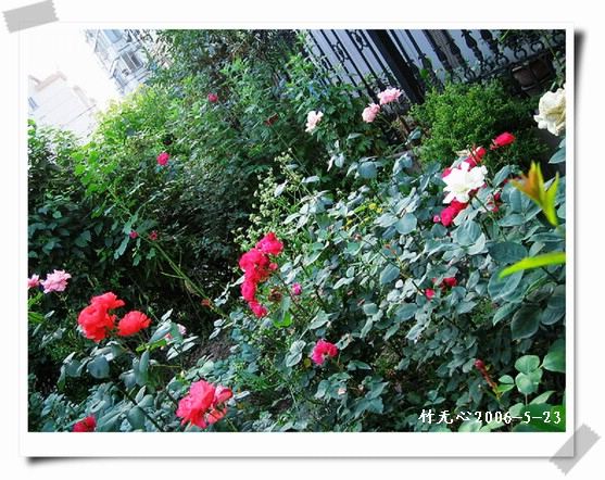 ��һ��������