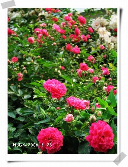 ��һ��������