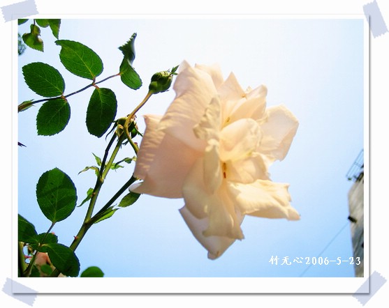 ��һ��������