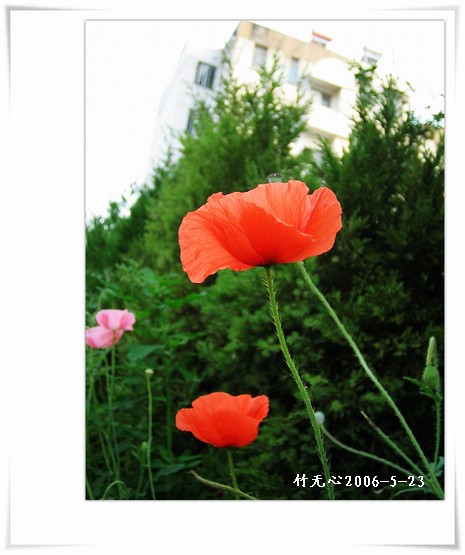 ��һ��������