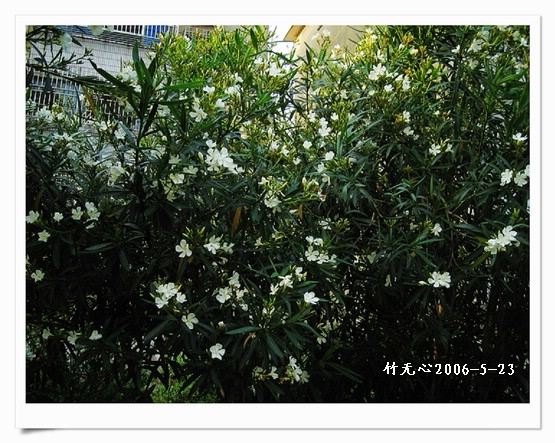 ��һ��������