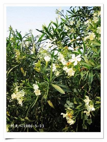 ��һ��������