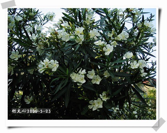 ��һ��������