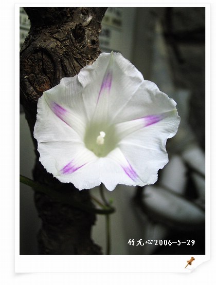 �����ţ��P3����ţ��һ�俪��Ҳ���á���