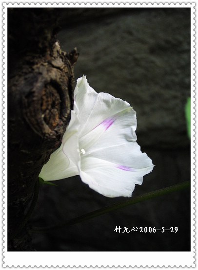 �����ţ��P3����ţ��һ�俪��Ҳ���á���