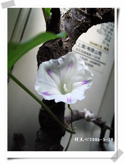 �����ţ��P3����ţ��һ�俪��Ҳ���á���