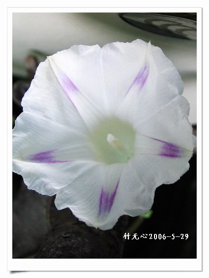 �����ţ��P3����ţ��һ�俪��Ҳ���á���