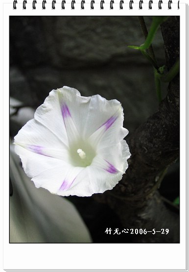 �����ţ��P3����ţ��һ�俪��Ҳ���á���