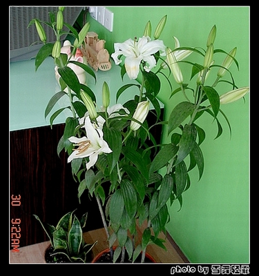 ż�Ұ٣��ף���Ҳ����~~