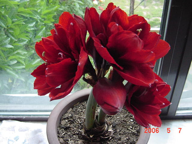 ����СԺ����P12 ���ٺ�����