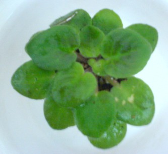 ���������ռǣ�����gxq+����������λ���ѷ�����