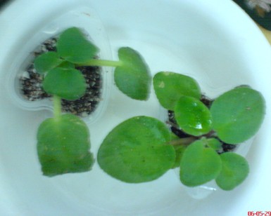 ���������ռǣ�����gxq+����������λ���ѷ�����