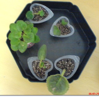 ���������ռǣ�����gxq+����������λ���ѷ�����