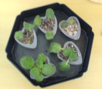 ���������ռǣ�����gxq+����������λ���ѷ�����