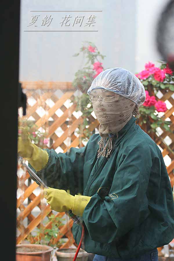 ���伯------�ҵ��¼���԰