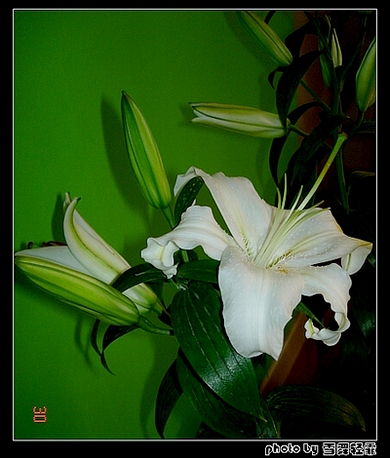 ż�Ұ٣��ף���Ҳ����~~