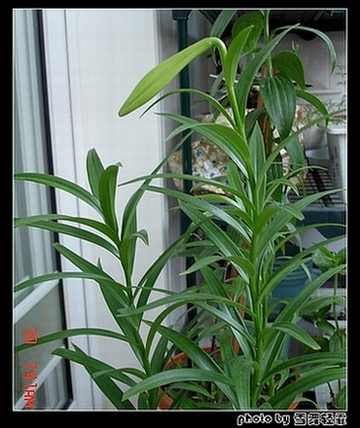 ż�Ұ٣��ף���Ҳ����~~