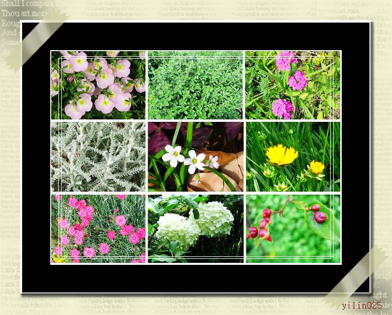 ������̬԰