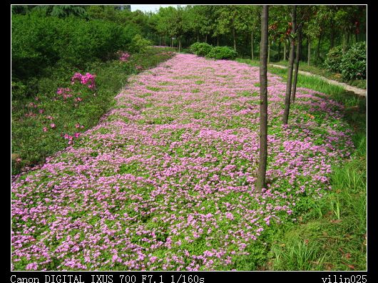 ������̬԰