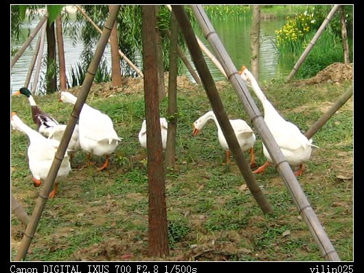 ������̬԰