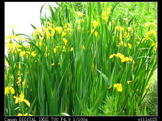 ������̬԰