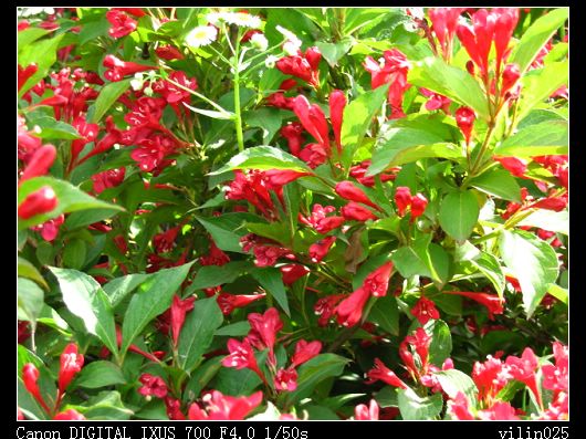 ������̬԰