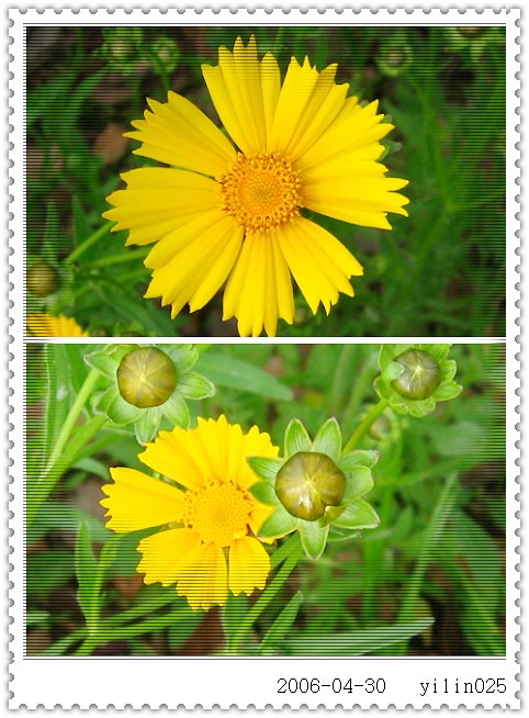 ������̬԰