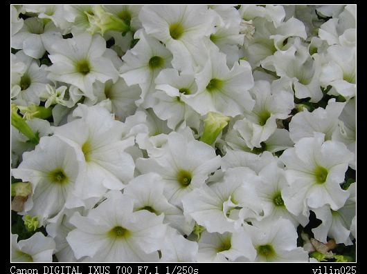 ������̬԰