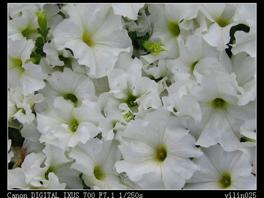 ������̬԰