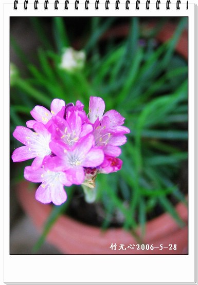 ��Щ�����ֿ��Ļ�...